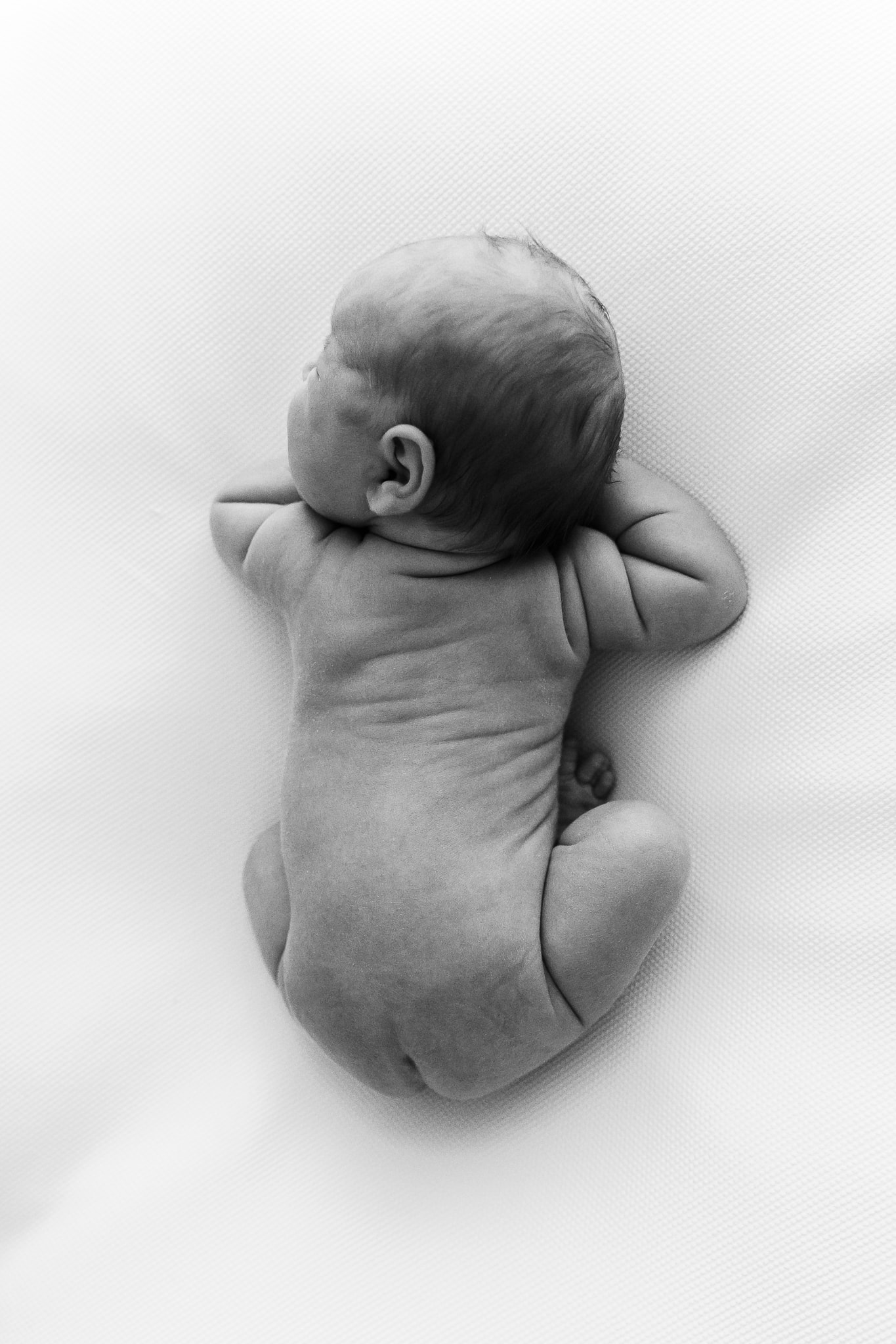 Jasmine Redmann - Fotoatelier Flensburg - Newborn Fotoshooting - Emotionale Neugeborenenfotografie Schleswig Holstein